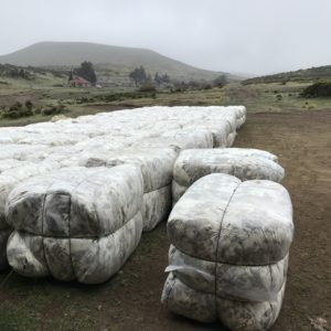 Wool Bales outside