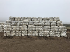 Bales stored outside