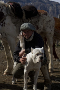 Animal Welfare Fuhrmann Organic Wool Gaucho and his dog
