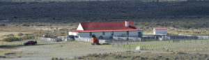 Sheep Farm in Patagonia Fuhrmann Organic Wool